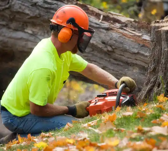 tree services Kettering